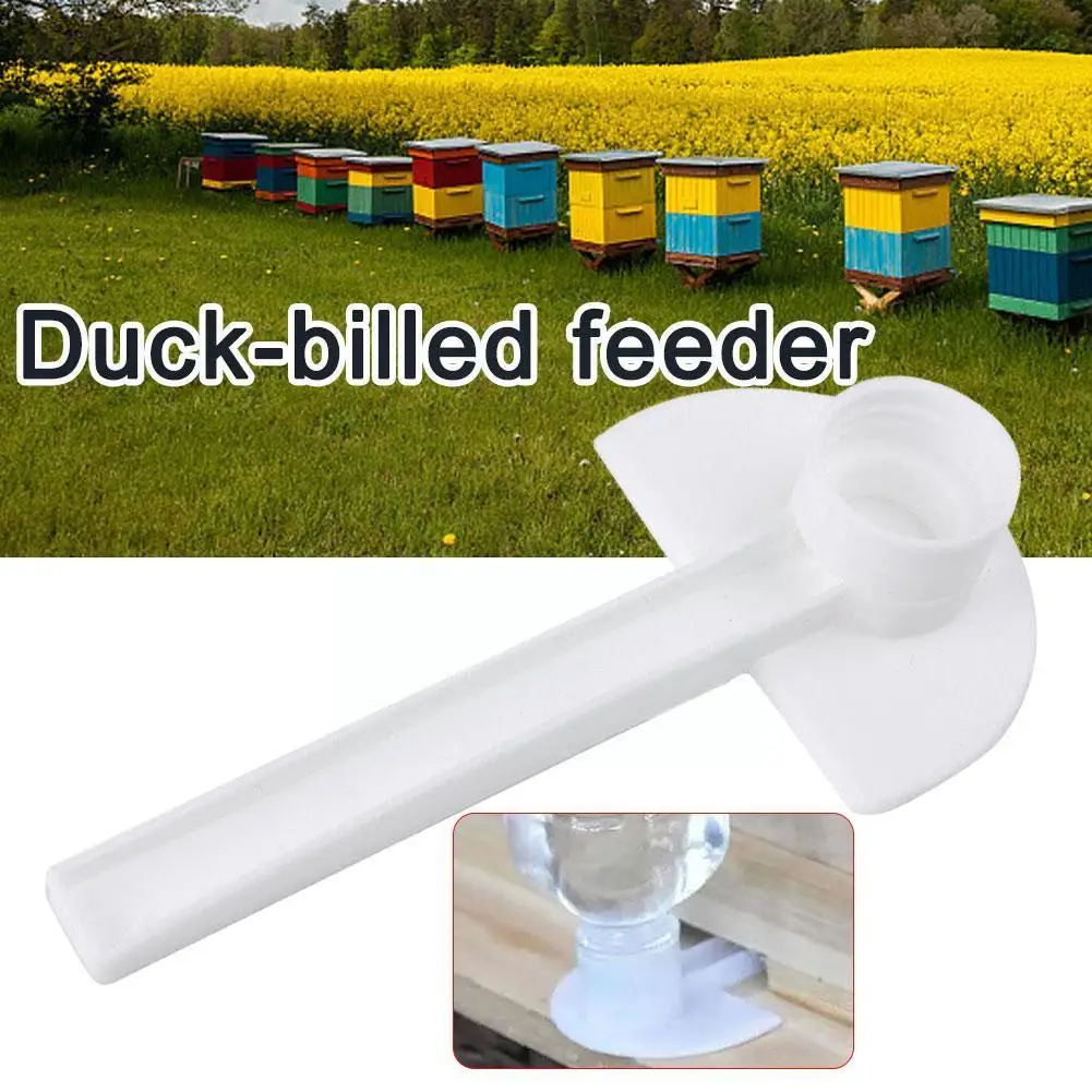 1Pcs Beekeeping Entry Feeder Cap Feeder Beekeeper Equip Tool Bee Feeding Drink Water Garden Hive Beekeeping Feeder T7P7
1Pcs Beekeeping Entry Feeder Cap Feeder Beekeeper Equip Tool Bee Feeding Drink Water Garden Hive Beekeeping Feeder T7P7