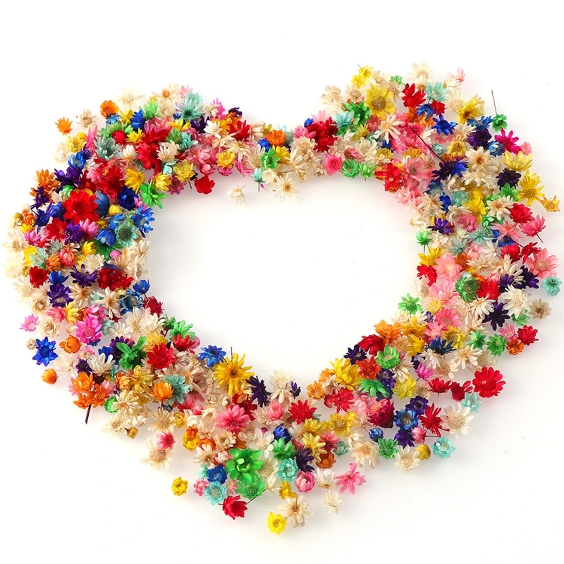 Dried Flowers for Resin Molds,Natural Dried Pressed Flower for Card Making Supplies Resin Jewelry Soap and Candle Making
Dried Flowers for Resin Molds,Natural Dried Pressed Flower for Card Making Supplies Resin Jewelry Soap and Candle Making
