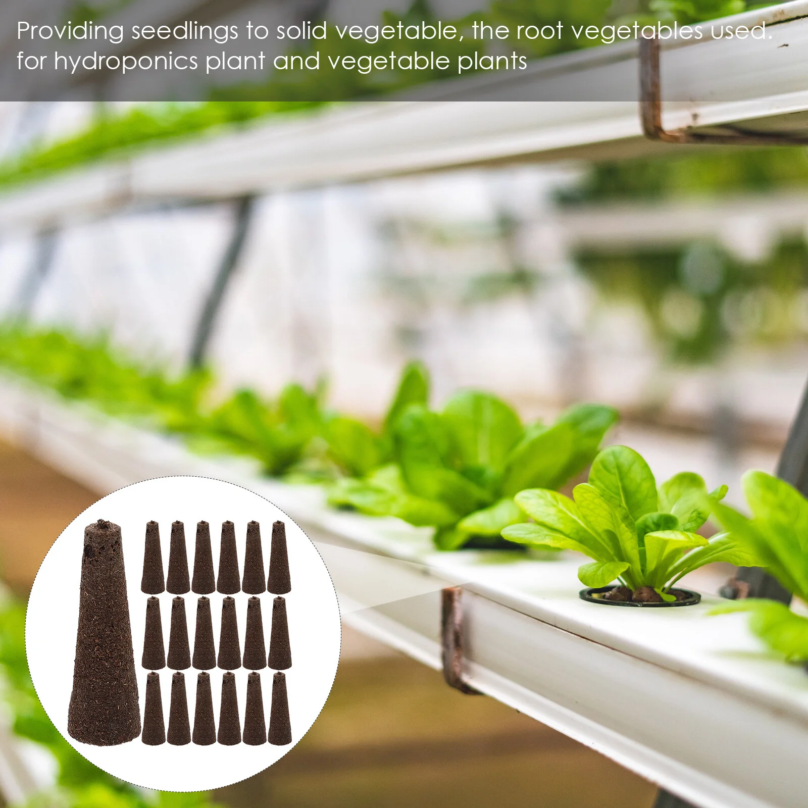 50 Pcs Cultivate Seedlings Hydroponic Plants Cone Shape Sponges Creative Soilless Cultivation Conical Gardening Tools Peat
50 Pcs Cultivate Seedlings Hydroponic Plants Cone Shape Sponges Creative Soilless Cultivation Conical Gardening Tools Peat