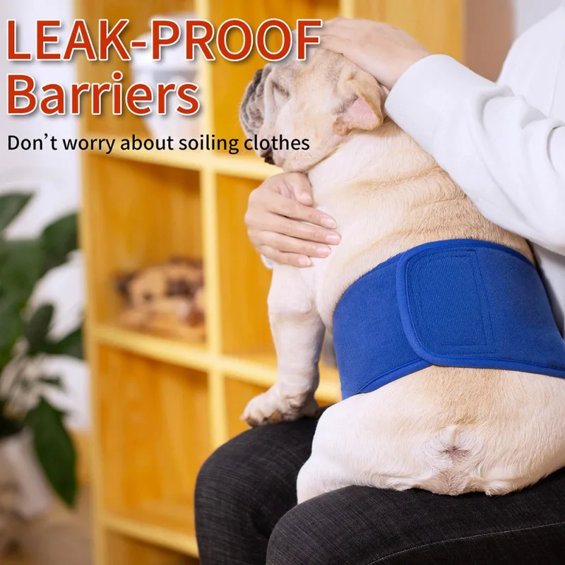 Pet Dog Physiological Pants Waterproof Dog Sanitary Underwear Briefs Belly Band Diaper Washable Male Dog Menstrual Pantie 2022
Pet Dog Physiological Pants Waterproof Dog Sanitary Underwear Briefs Belly Band Diaper Washable Male Dog Menstrual Pantie 2022