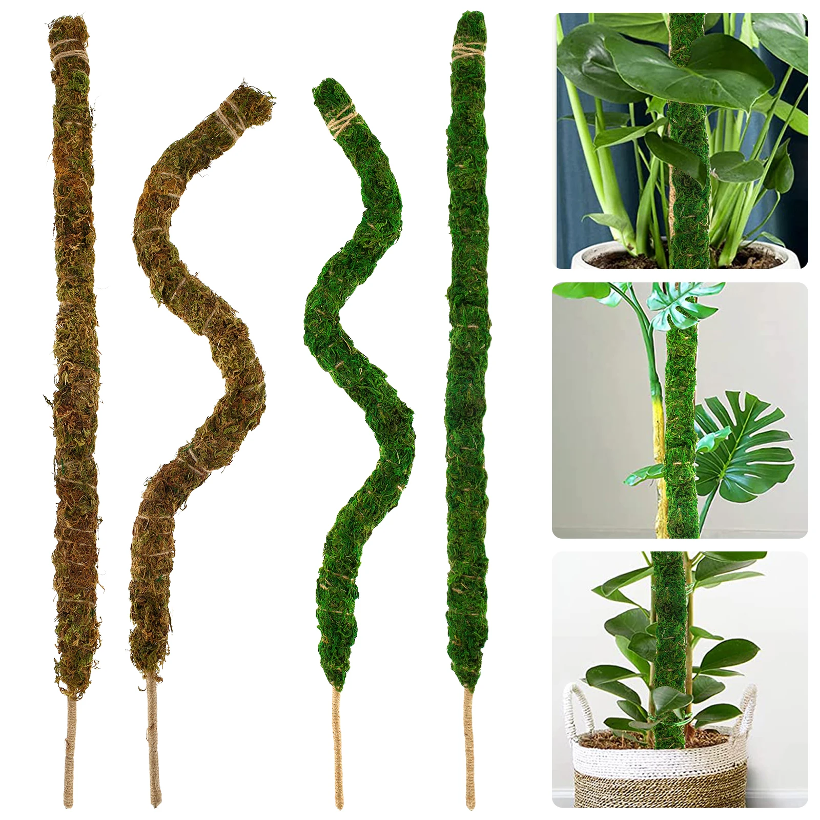 2 Pcs Moss Pole Kit for Monstera 25.2in Bendable Plant Moss Pole Adjustable Coco Coir Moss Pole Reusable Moss Sticks with Garden 
2 Pcs Moss Pole Kit for Monstera 25.2in Bendable Plant Moss Pole Adjustable Coco Coir Moss Pole Reusable Moss Sticks with Garden