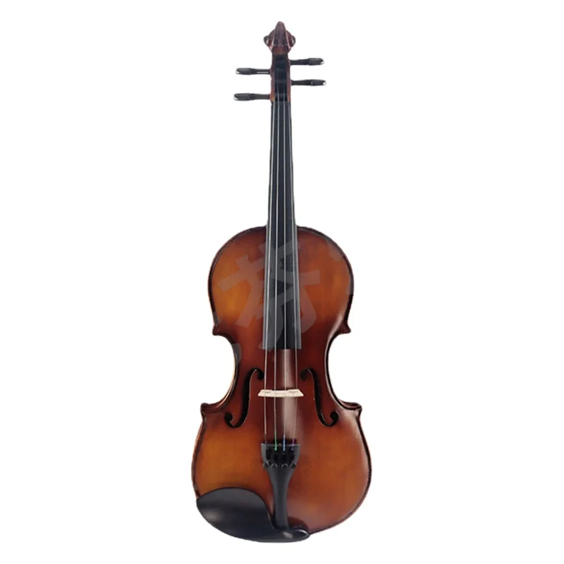 Professional Hallmark Violin Fingerboard Children Acoustic Violin Shoulder Rest Beginner Case Violino Sports And Entertainment
Professional Hallmark Violin Fingerboard Children Acoustic Violin Shoulder Rest Beginner Case Violino Sports And Entertainment