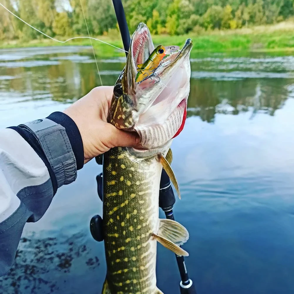 Fishing Lure Grasshopper Artificial Crankbait 75mm 8g Fishing Bait Crickhopper Topwater Bass Minnow with 2 Treble Fishing Tackle
Fishing Lure Grasshopper Artificial Crankbait 75mm 8g Fishing Bait Crickhopper Topwater Bass Minnow with 2 Treble Fishing Tackle