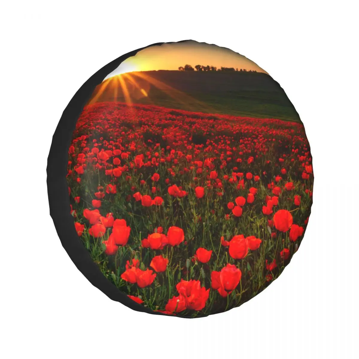 1Pc Car Spare Tire Cover Sunset Over Field With Red Poppies Case Polyester Tire for Cars Wheel Protection Cover
1Pc Car Spare Tire Cover Sunset Over Field With Red Poppies Case Polyester Tire for Cars Wheel Protection Cover