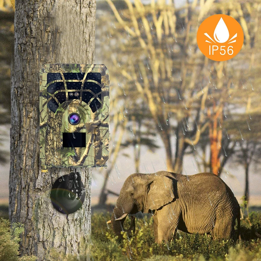 Trail Camera Camera Animal Observation And Hunting 32GB 5pins USB 2.0 ABS PR-300A PR-300C Waterproof IP56 Safe
Trail Camera Camera Animal Observation And Hunting 32GB 5pins USB 2.0 ABS PR-300A PR-300C Waterproof IP56 Safe