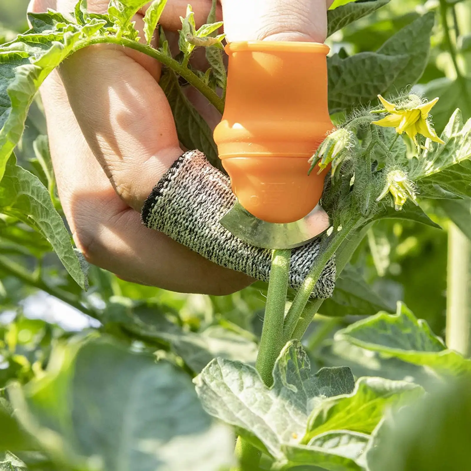 

12Pcs Gardening Silicone Thumb Knives Set Anti-cutting Finger Sleeves Harvesting Tool for Twig Pruning Fruit Vegetable Picking
