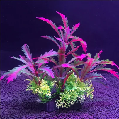 Artificial aquarium aquarium decoration plants Aquatic plants Aquarium decoration accessories 
Artificial aquarium aquarium decoration plants Aquatic plants Aquarium decoration accessories
