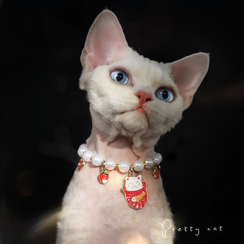 Pet Butterfly Pearl Decorative Necklace Choker Cat Collar Kitten Accessories Cat Harness Princess Jewelry Decoration Choker
Pet Butterfly Pearl Decorative Necklace Choker Cat Collar Kitten Accessories Cat Harness Princess Jewelry Decoration Choker