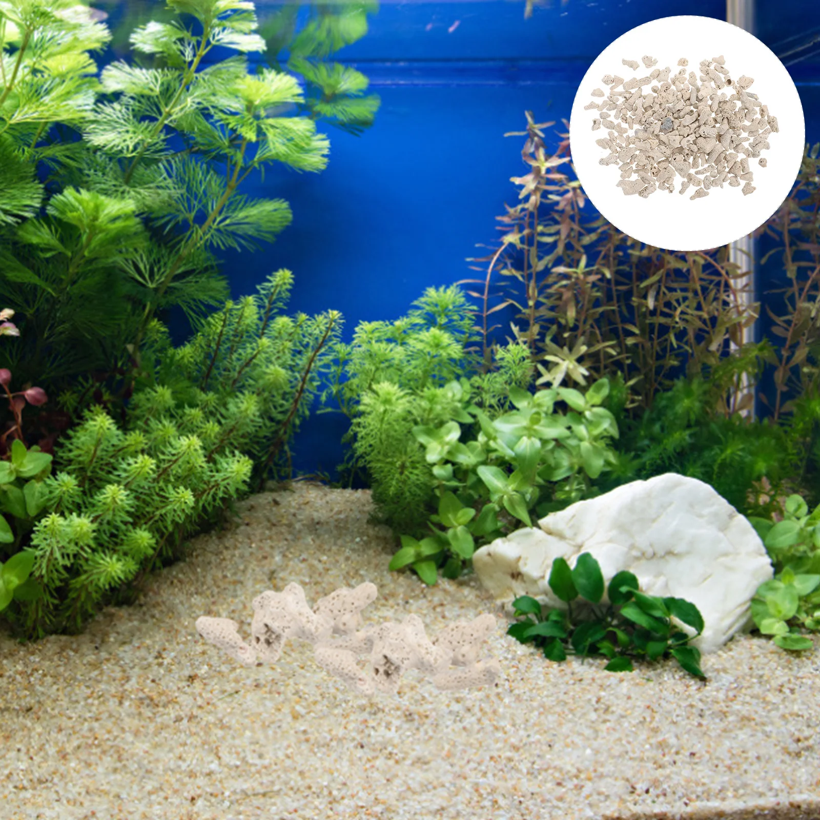 2 Packs Coral Stone Block Decor Aquarium Decors Reptile Filter Reptiles Tank Decorative Stones Type Rocks
2 Packs Coral Stone Block Decor Aquarium Decors Reptile Filter Reptiles Tank Decorative Stones Type Rocks