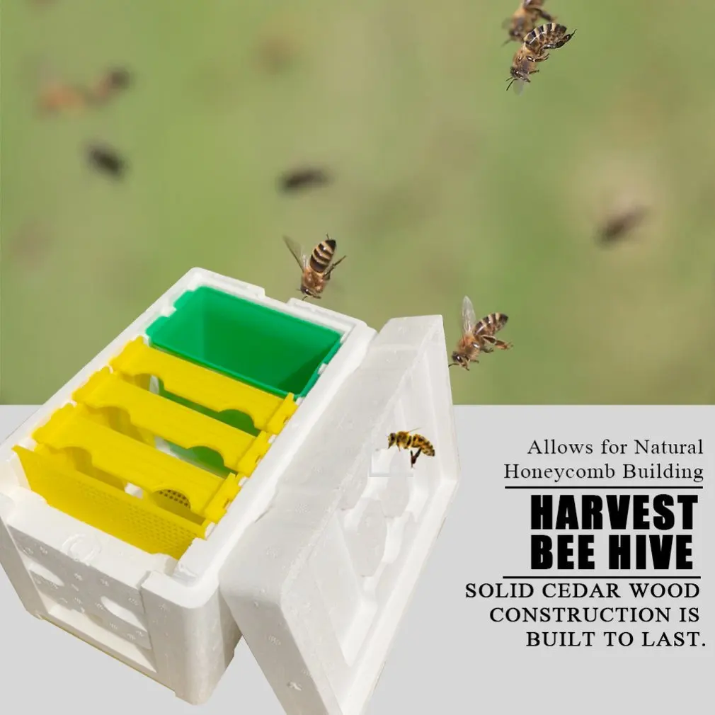 1 Set Queen Bee Rearing Mating Beehive Foam Beehives Pollination BeesHive Box Beekeeper Suppliers Beekeeping Tools Bee King Box 
1 Set Queen Bee Rearing Mating Beehive Foam Beehives Pollination BeesHive Box Beekeeper Suppliers Beekeeping Tools Bee King Box