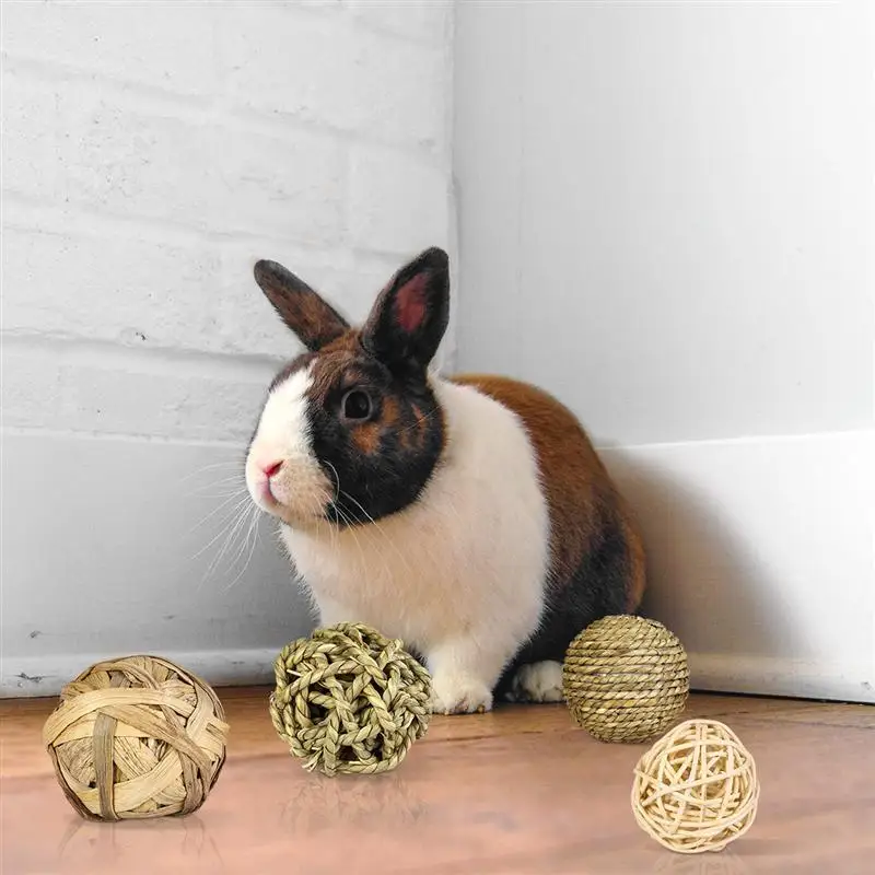 Rabbit Grass Ball Toys Molar Tool Dutch Pigs Guinea Pig/Parrot Chewing Toy Animal Teeth for Rabbit Small Pet Supplies
Rabbit Grass Ball Toys Molar Tool Dutch Pigs Guinea Pig/Parrot Chewing Toy Animal Teeth for Rabbit Small Pet Supplies