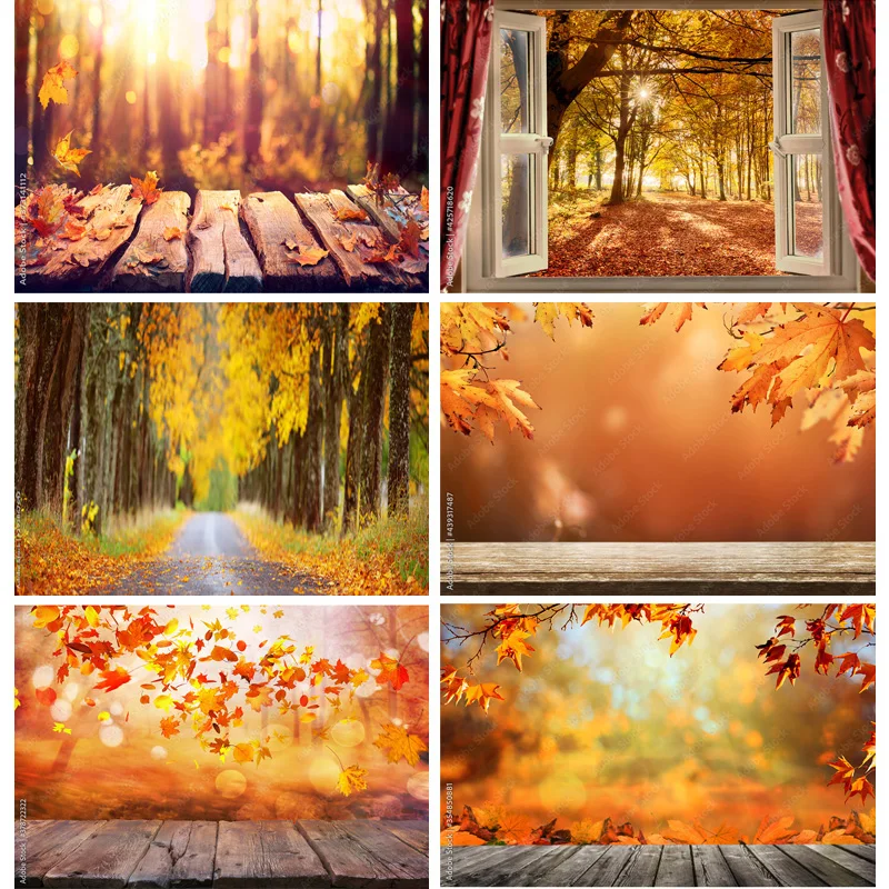SHUOZHIKE Natural Scenery Photography Background Fall Leaves Forest Landscape Travel Photo Backdrops Studio Props QTT-07
SHUOZHIKE Natural Scenery Photography Background Fall Leaves Forest Landscape Travel Photo Backdrops Studio Props QTT-07