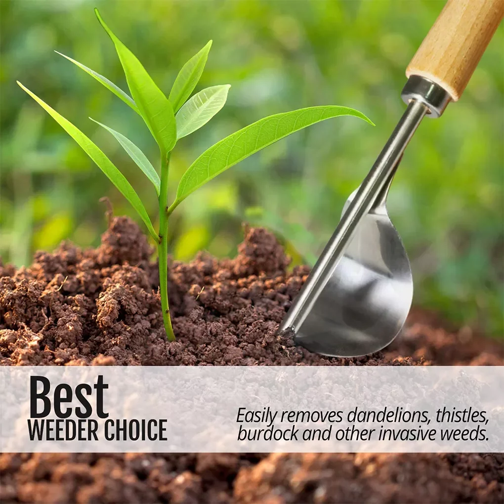1PC Garden Weeder Tool Lawn Sturdy Digging Puller Hand Weeding Effective Easy Apply Trimming Removal Grass puller Long Handle
1PC Garden Weeder Tool Lawn Sturdy Digging Puller Hand Weeding Effective Easy Apply Trimming Removal Grass puller Long Handle