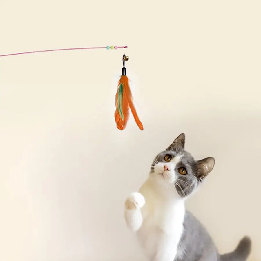 Cat Feather Toy Interactive Cat Toy Funny Feather With Bell Cat Stick Toy For Kitten Playing Teaser Wand Toy Cat Supplies
Cat Feather Toy Interactive Cat Toy Funny Feather With Bell Cat Stick Toy For Kitten Playing Teaser Wand Toy Cat Supplies