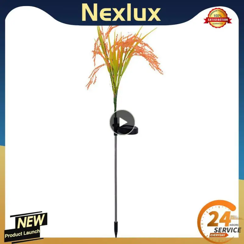 Decorate Lawn Lamp Light Control Floor Lamp Solar Energy Rice Rice Lamp Outdoor Lighting Led Light Landscape Landscape Lights
Decorate Lawn Lamp Light Control Floor Lamp Solar Energy Rice Rice Lamp Outdoor Lighting Led Light Landscape Landscape Lights
