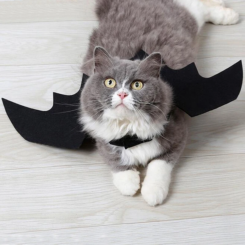 

New Halloween Cute Pet Clothes Black Bat Wings Harness Costume for Halloween Cosplay Cat Dog Halloween Party for Pet Supplies