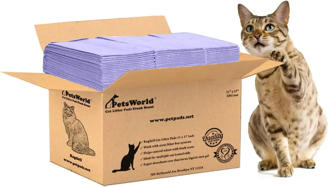 Pee Pad Litter Box Refills for the Tidy Cat Breeze Litter System, Fresh Scent Absorbs Odors, 200 Pack Litter box for cats Open l
Pee Pad Litter Box Refills for the Tidy Cat Breeze Litter System, Fresh Scent Absorbs Odors, 200 Pack Litter box for cats Open l