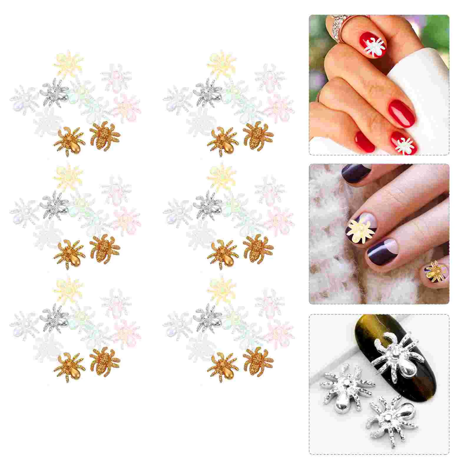Nail Accessories Colorful Decor Manicures Decoration DIY Spider Studs Halloween 
Nail Accessories Colorful Decor Manicures Decoration DIY Spider Studs Halloween