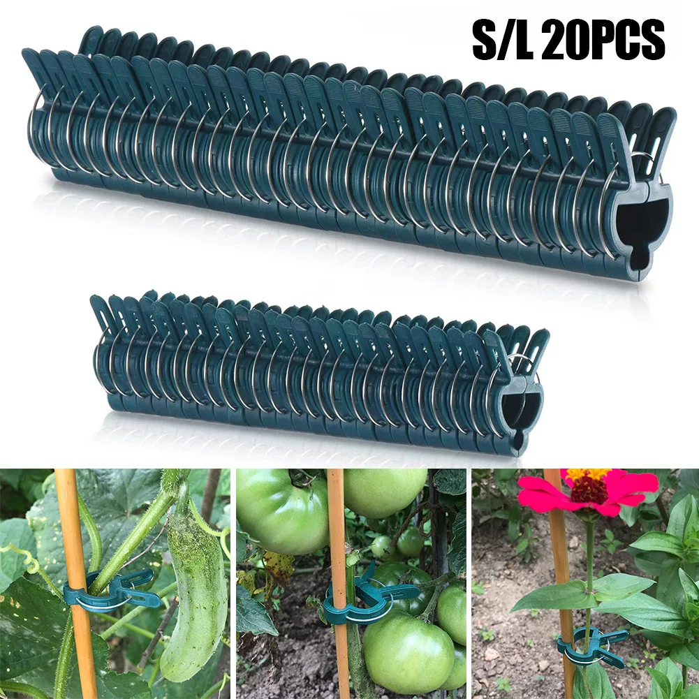 20pcs Plant Wall Clips Plant Bender Reusable Weatherproof No Rust For Tomato Cucumbers Peppers Melons For Climbers Plants
20pcs Plant Wall Clips Plant Bender Reusable Weatherproof No Rust For Tomato Cucumbers Peppers Melons For Climbers Plants