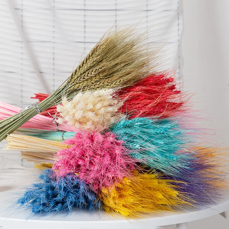50Pcs Natural Real Wheat Ears Dried Flowers Pastoral Style Bohemian Chic Wedding Decoration Table And Room Balcony Accessories
50Pcs Natural Real Wheat Ears Dried Flowers Pastoral Style Bohemian Chic Wedding Decoration Table And Room Balcony Accessories
