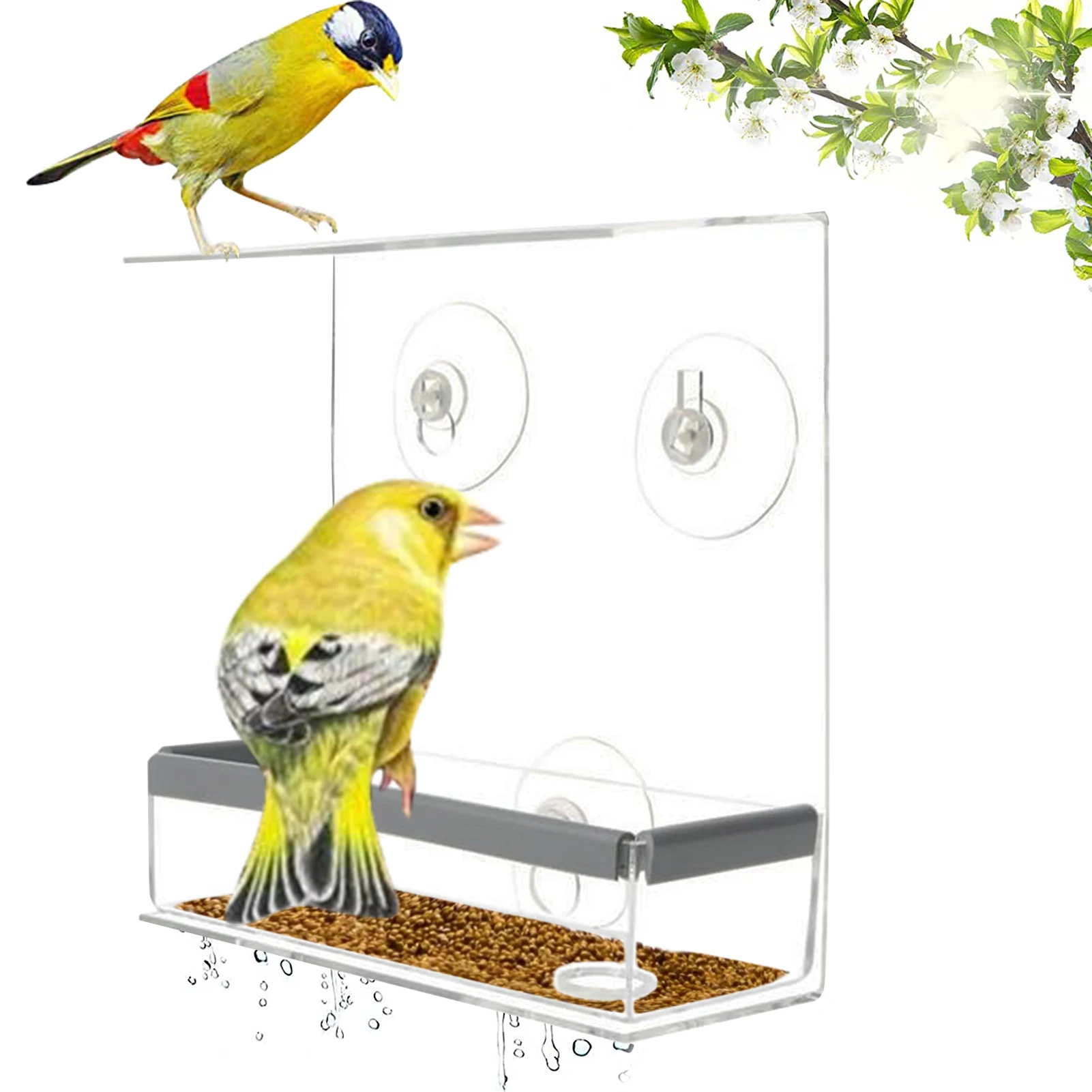 Кормушки для птиц, кормушки для птиц с дренажными отверстиями, сохраняют сухое окно, кормушки для птиц с быстрой кормушкой, кормушки для сем...
Кормушки для птиц, кормушки для птиц с дренажными отверстиями, сохраняют сухое окно, кормушки для птиц с быстрой кормушкой, кормушки для сем...