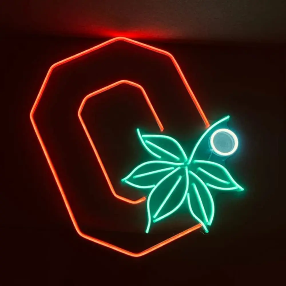 Неоновые вывески штата Огайо с питанием от USB для декора комнаты, искусственная неоновая лампа с регулируемой яркостью, ночник для мужской пещеры, бара, настенное искусство 
Неоновые вывески штата Огайо с питанием от USB для декора комнаты, искусственная неоновая лампа с регулируемой яркостью, ночник для мужской пещеры, бара, настенное искусство