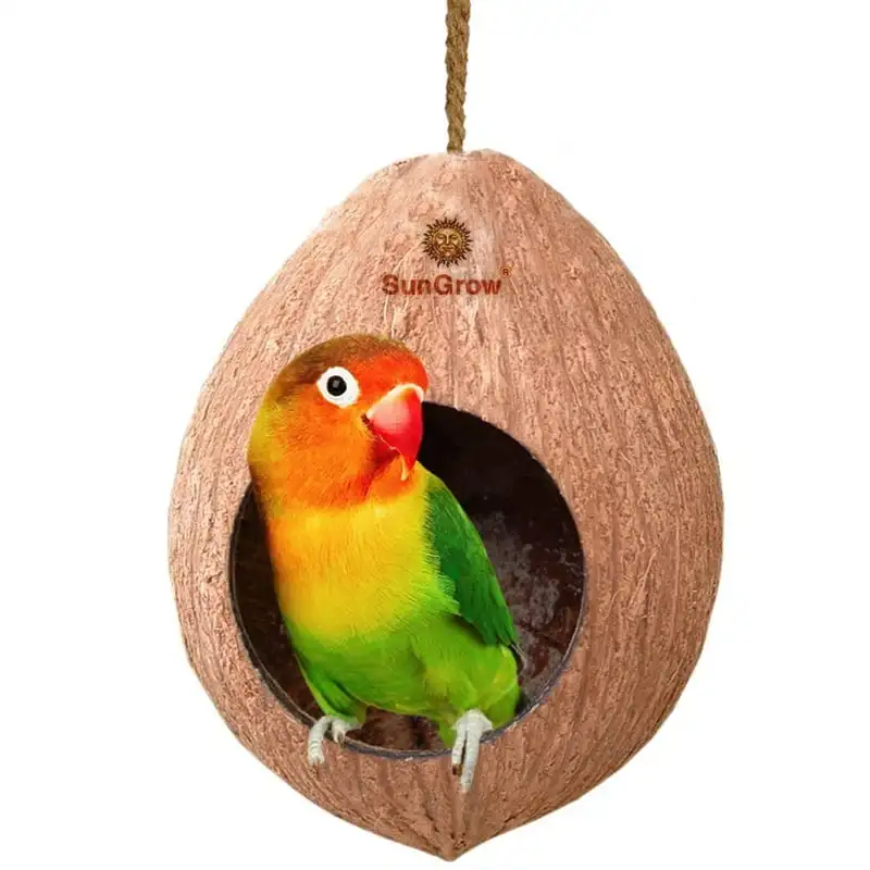 & Budgie Coconut Shell Breeding Nest & Bird Seed Storage, Shelter from Cold Weather & Tropical Garden Decor Insect terrarium Ant
& Budgie Coconut Shell Breeding Nest & Bird Seed Storage, Shelter from Cold Weather & Tropical Garden Decor Insect terrarium Ant