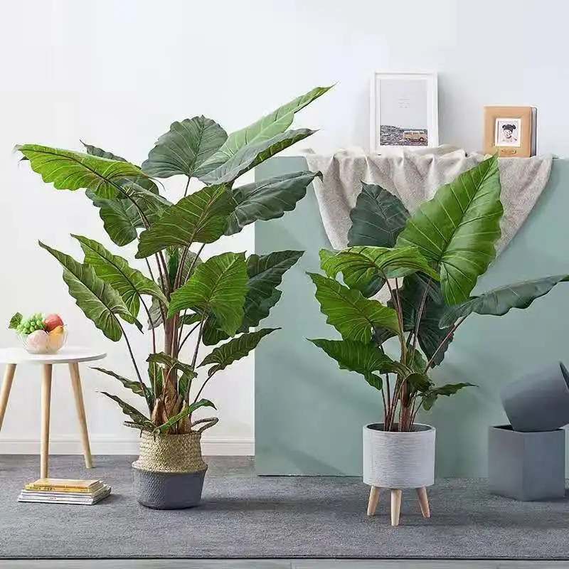 170cm Fake Taro Tree, Large Monstera Artificial Plants, Large Coconut Tree with Foliage, No Pot for Home Garden Decoration
170cm Fake Taro Tree, Large Monstera Artificial Plants, Large Coconut Tree with Foliage, No Pot for Home Garden Decoration