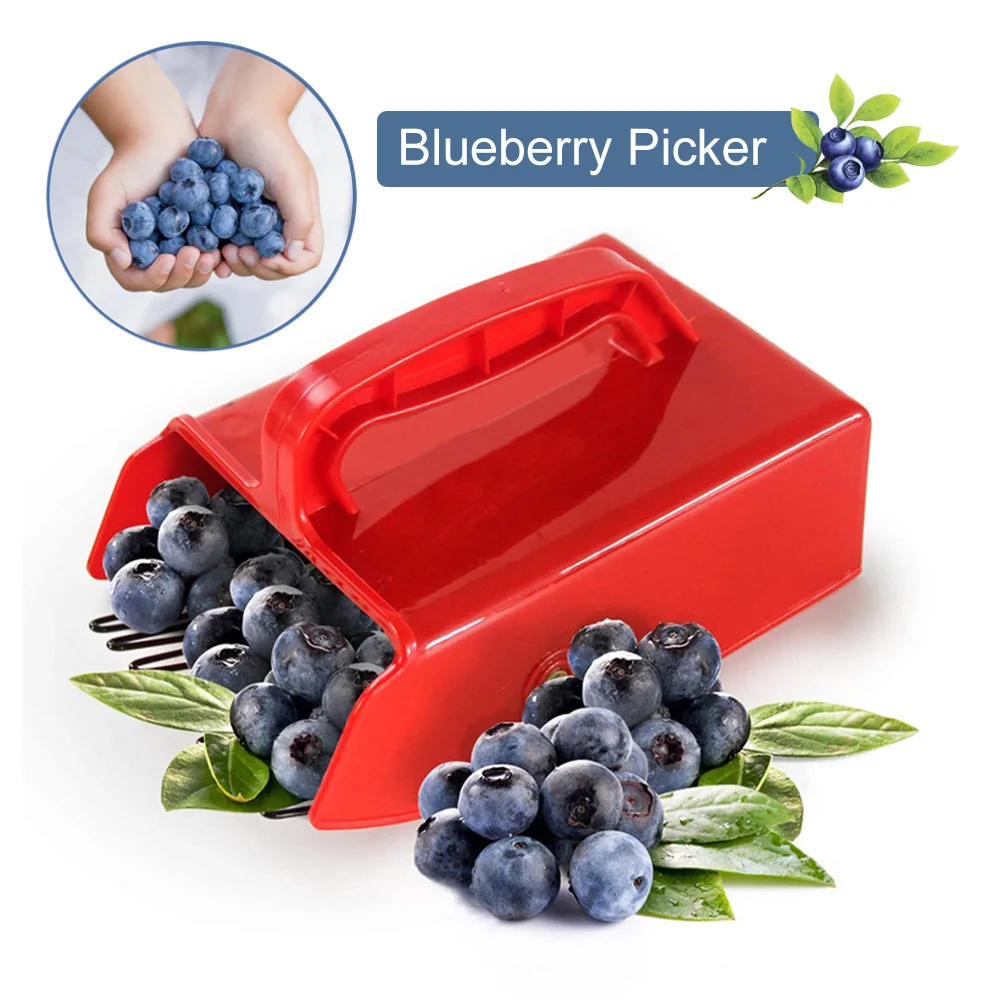 Berry Picker With Metallic Comb Blueberry Picker Rake Ergonomic Handle Fruit Collecting Picking Scoop Garden Tool Easy Cleaning
Berry Picker With Metallic Comb Blueberry Picker Rake Ergonomic Handle Fruit Collecting Picking Scoop Garden Tool Easy Cleaning