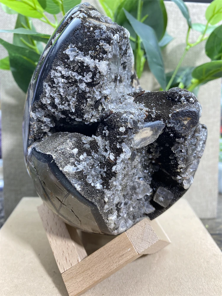 Septarium Calcite Geode Natural Voog Quartz Crystal Raw Reiki Cluster Healing Stones Specimen Home Crafts Decoration Dragon Egg
Septarium Calcite Geode Natural Voog Quartz Crystal Raw Reiki Cluster Healing Stones Specimen Home Crafts Decoration Dragon Egg