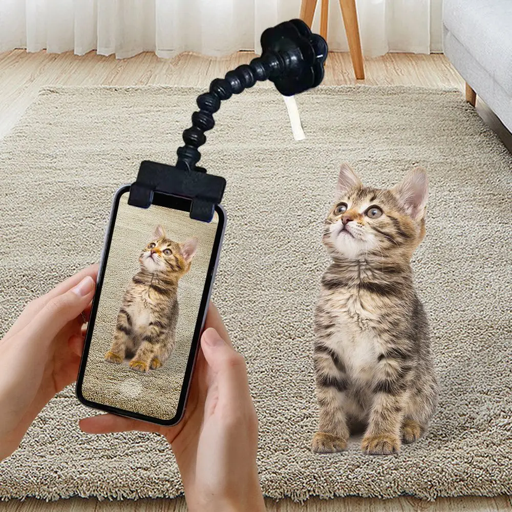 Pet Selfie Stick for Dogs Cat photography tools Pet Interaction Toys Concentrate Training Supplies Dog Accessories
Pet Selfie Stick for Dogs Cat photography tools Pet Interaction Toys Concentrate Training Supplies Dog Accessories