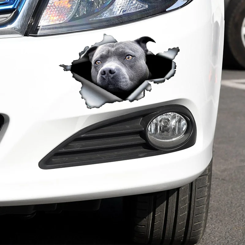 A0118# 13 cm/17 cm 3D Self-adhesive Decal Blue Pitbull Cool Dog Car Sticker Waterproof Auto Decors on Bumper Rear Window Laptop
A0118# 13 cm/17 cm 3D Self-adhesive Decal Blue Pitbull Cool Dog Car Sticker Waterproof Auto Decors on Bumper Rear Window Laptop