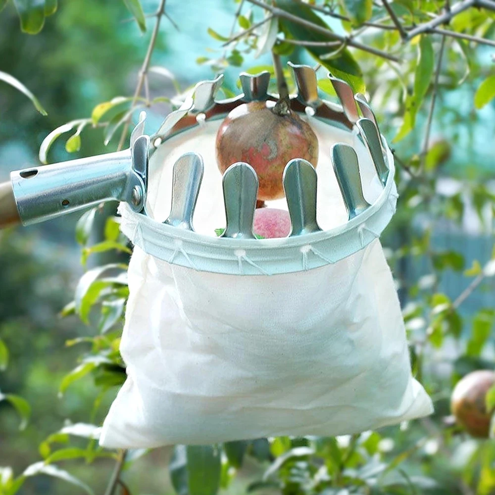 Metal Fruit Picker Orchard Gardening Apple Peach High Tree Picking Tools Fruit Catcher Collector Gardening Tools
Metal Fruit Picker Orchard Gardening Apple Peach High Tree Picking Tools Fruit Catcher Collector Gardening Tools