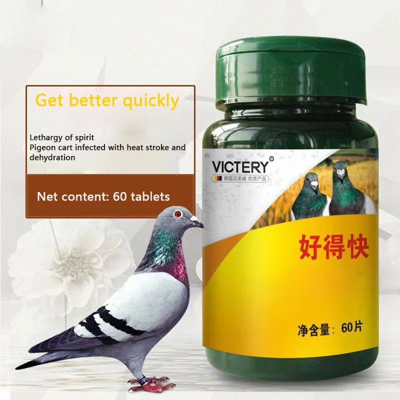 Pigeon Racing Pigeon Carrier Good Fast Crop Respiratory Tract Calcium Tablets 60 Tablets Pigeon Water Will Dilute Pigeon Pox
Pigeon Racing Pigeon Carrier Good Fast Crop Respiratory Tract Calcium Tablets 60 Tablets Pigeon Water Will Dilute Pigeon Pox