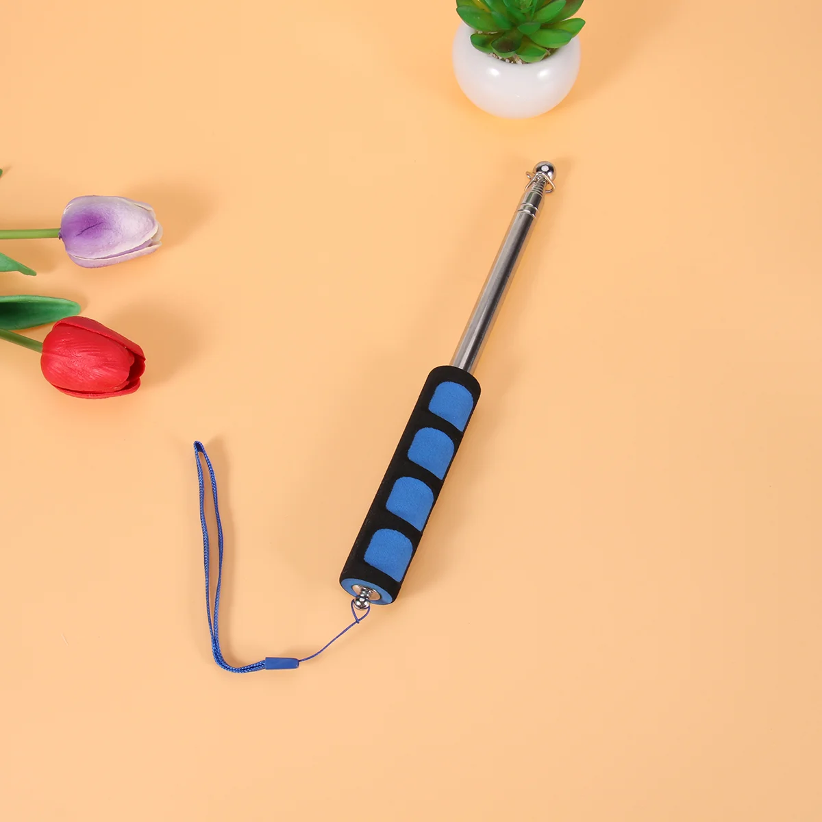 Stainless Steel Flag Pole Hand-held Teaching Rod Guide Telescopic Flagpole (Blue, Sponge Handle)
Stainless Steel Flag Pole Hand-held Teaching Rod Guide Telescopic Flagpole (Blue, Sponge Handle)