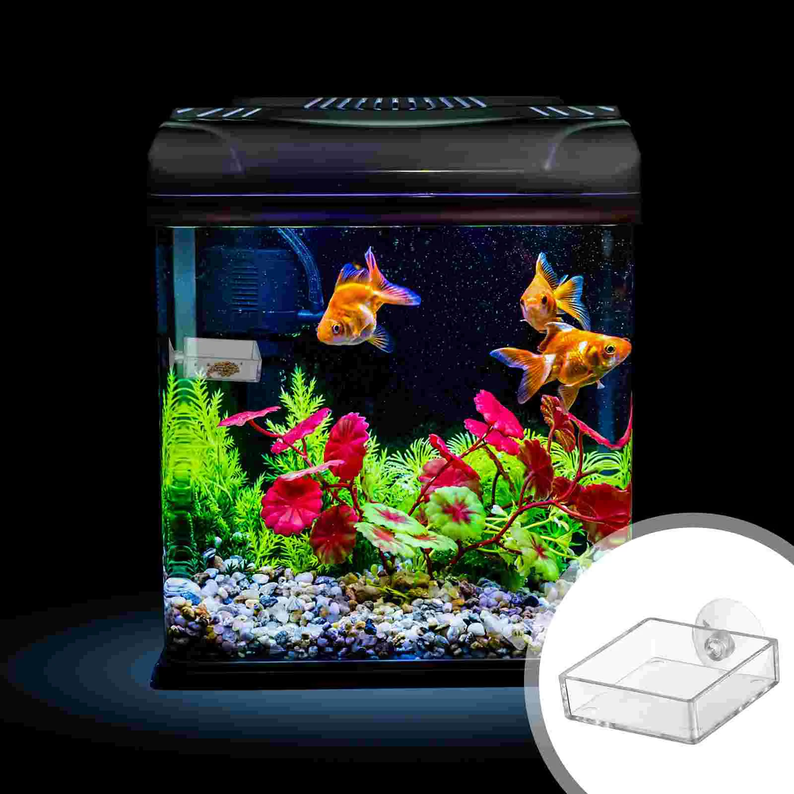 

Feeding Feeder Bowl Aquarium Shrimp Dish Tray Ring Tank Acrylic Tube Floating Betta Home Automatic Container Bowls Suction Tool