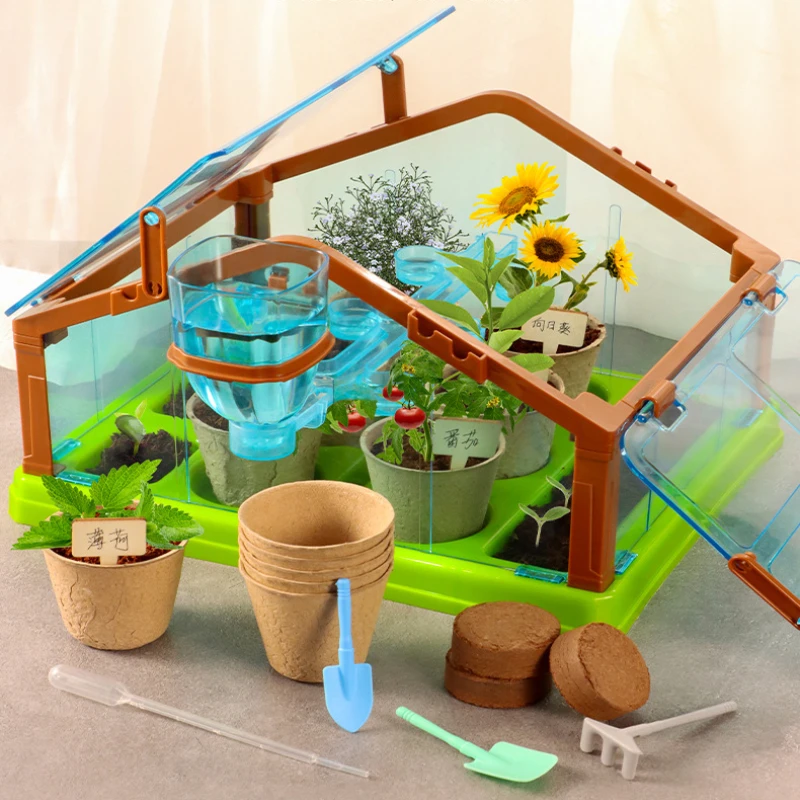 Children plant small potted plants, observe plants and flowers in the mini indoor garden of the sunshine room
Children plant small potted plants, observe plants and flowers in the mini indoor garden of the sunshine room