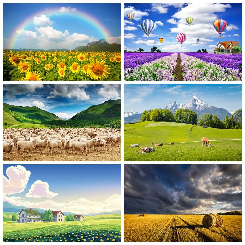 Flowers Manor Farm Backdrop Photography Birthday Decoration Natural Sunsetting Field Hay Custom Children Party Photo Backgrounds
Flowers Manor Farm Backdrop Photography Birthday Decoration Natural Sunsetting Field Hay Custom Children Party Photo Backgrounds