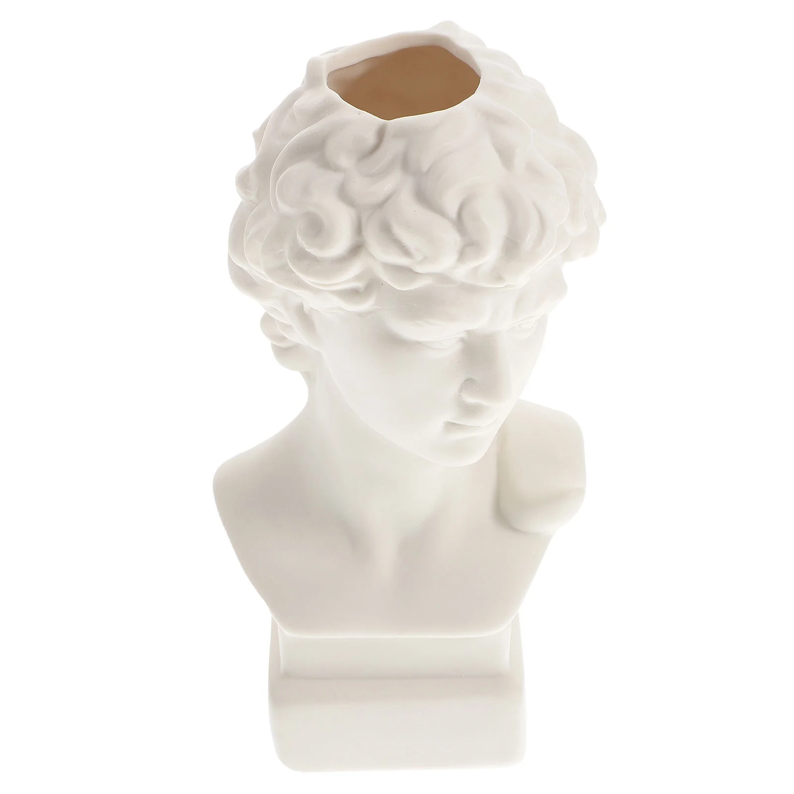 David Vase Nordic Vase Bust Sculpture Pot Household Artificial Flowers Vase Greek Statue Planter Ceramics Creative Vase
David Vase Nordic Vase Bust Sculpture Pot Household Artificial Flowers Vase Greek Statue Planter Ceramics Creative Vase