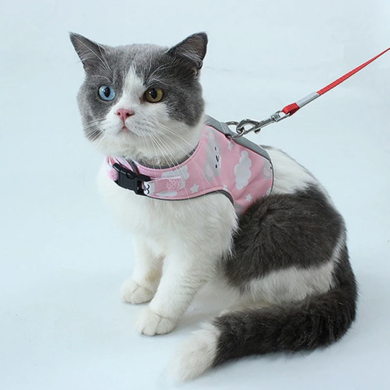1pcs Breathable Dog Harness Polyester Mesh Vest Leash Pet Chest Strap Rope Cat Dog Adjustable Harness Vest Walking Lead Leash
1pcs Breathable Dog Harness Polyester Mesh Vest Leash Pet Chest Strap Rope Cat Dog Adjustable Harness Vest Walking Lead Leash