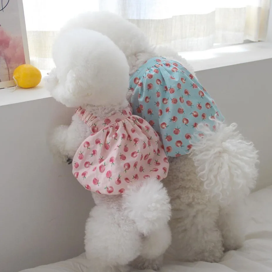 INS New Korean Summer And Autumn Cute Peach Bubble Skirt Dog Suspender Elastic Short Pet Clothes Dog Dresses For Small Dogs
INS New Korean Summer And Autumn Cute Peach Bubble Skirt Dog Suspender Elastic Short Pet Clothes Dog Dresses For Small Dogs