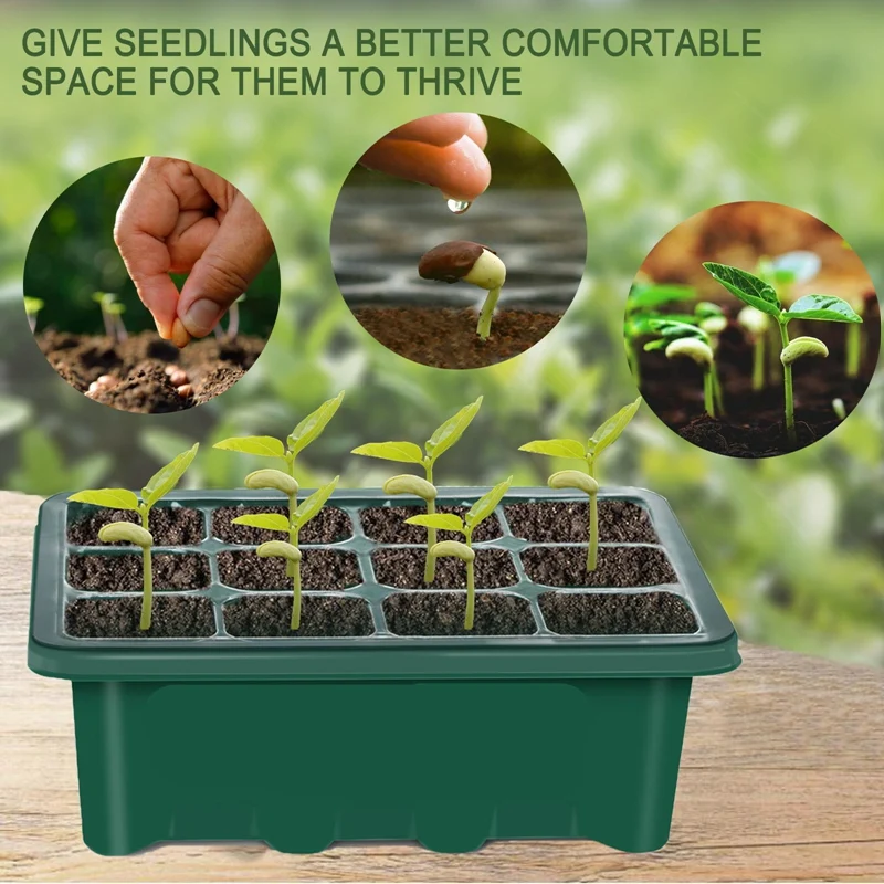 Seed Starter Tray,12-Cell Seed Propagator Tray , Adjustable Seed Trays Plastic Seeding Tools and Labels Included
Seed Starter Tray,12-Cell Seed Propagator Tray , Adjustable Seed Trays Plastic Seeding Tools and Labels Included