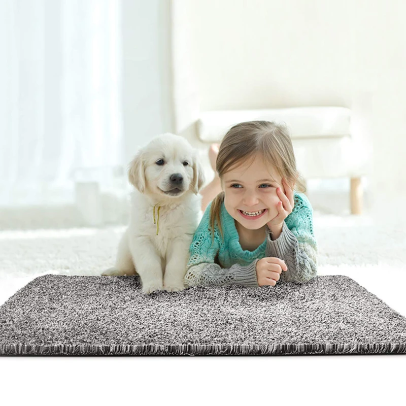 Indoor Super Absorbs Doormat Latex Backing Non Slip Door Mat for Small Front Door Inside Floor Dirt Trapper Cotton Entrance Rug
Indoor Super Absorbs Doormat Latex Backing Non Slip Door Mat for Small Front Door Inside Floor Dirt Trapper Cotton Entrance Rug