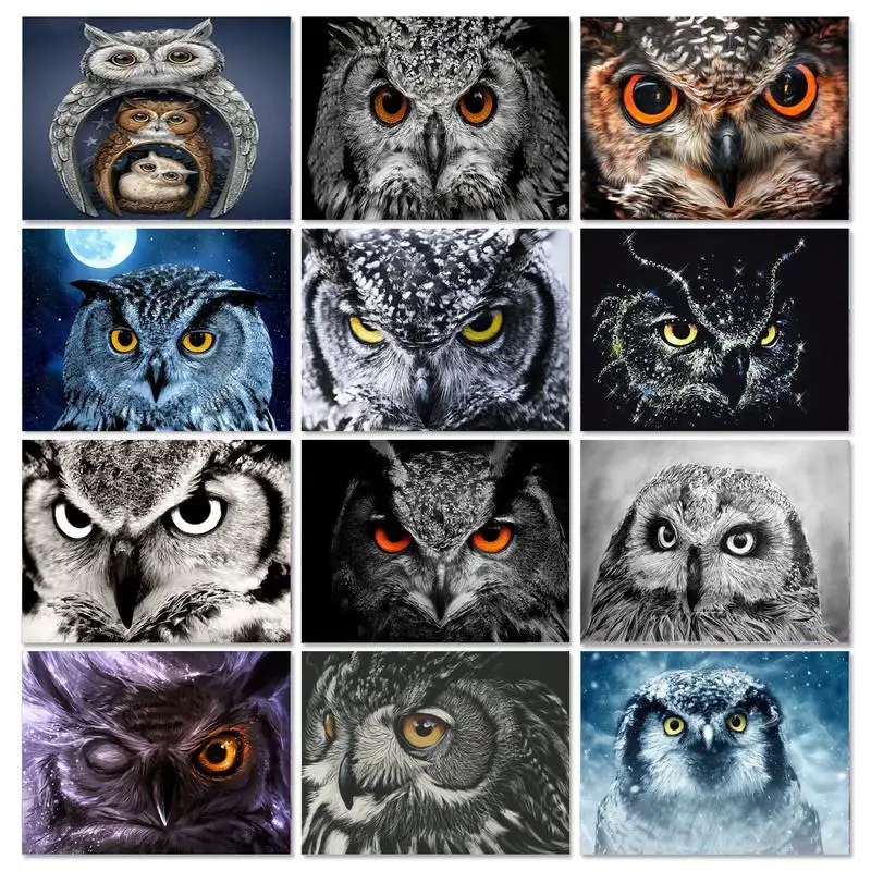 GATYZTORY Owl Oil Painting By Numbers Handmade Kill Time On Canvas Animal Drawing By Numbers Home Decor Gift For Adults
GATYZTORY Owl Oil Painting By Numbers Handmade Kill Time On Canvas Animal Drawing By Numbers Home Decor Gift For Adults