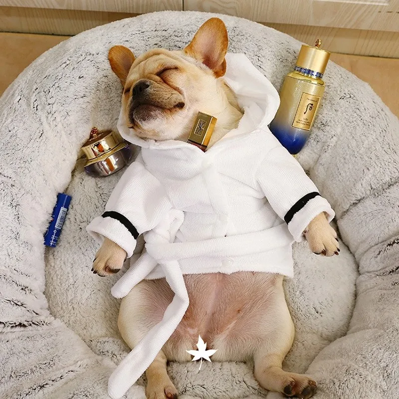 Одежда для собак, Тедди, одежда для щенков, летняя одежда для кошек, Aero Bull, товары для домашних животных, одежда для средних собак
Одежда для собак, Тедди, одежда для щенков, летняя одежда для кошек, Aero Bull, товары для домашних животных, одежда для средних собак