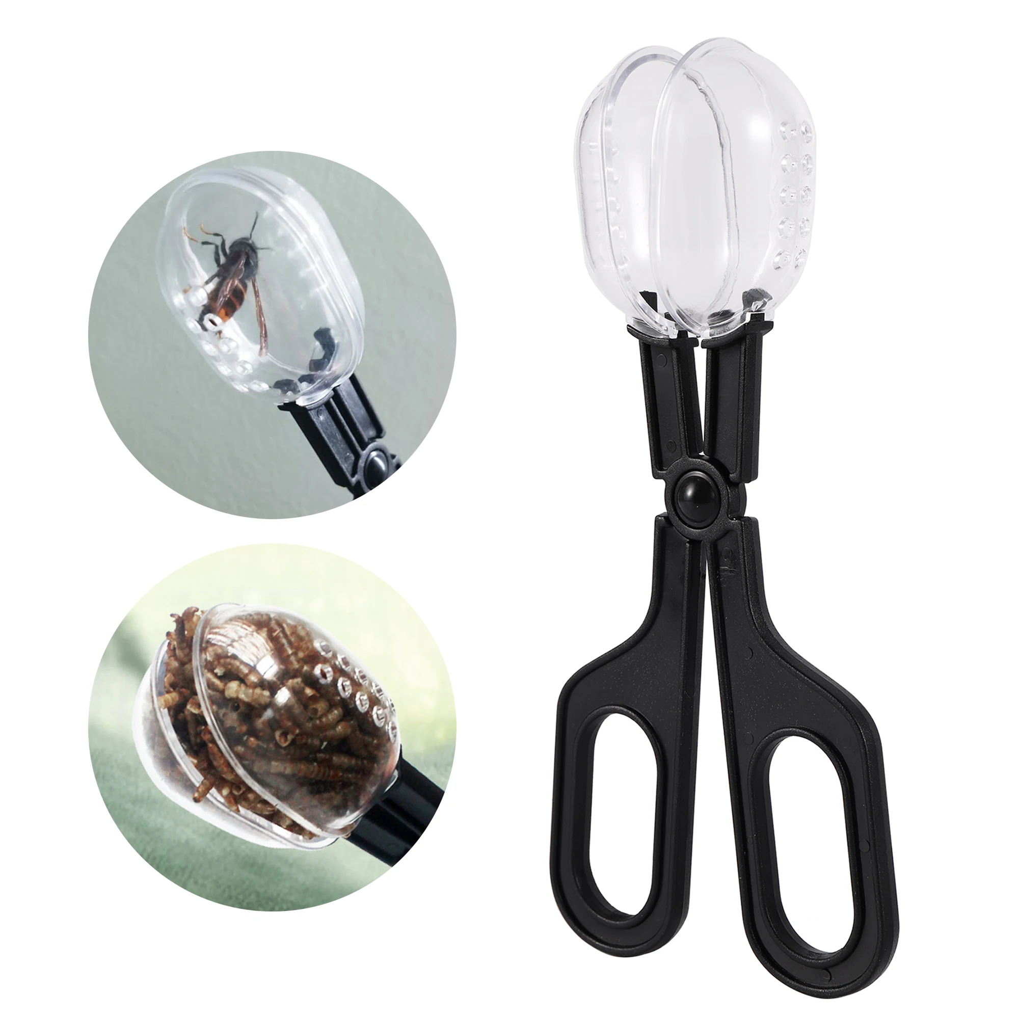 Reptile Terrarium Lizards Plastic Tongs Tweezers Pet Raising Feeding Tool Clip Children School Plant Insect Biology Study Tool
Reptile Terrarium Lizards Plastic Tongs Tweezers Pet Raising Feeding Tool Clip Children School Plant Insect Biology Study Tool
