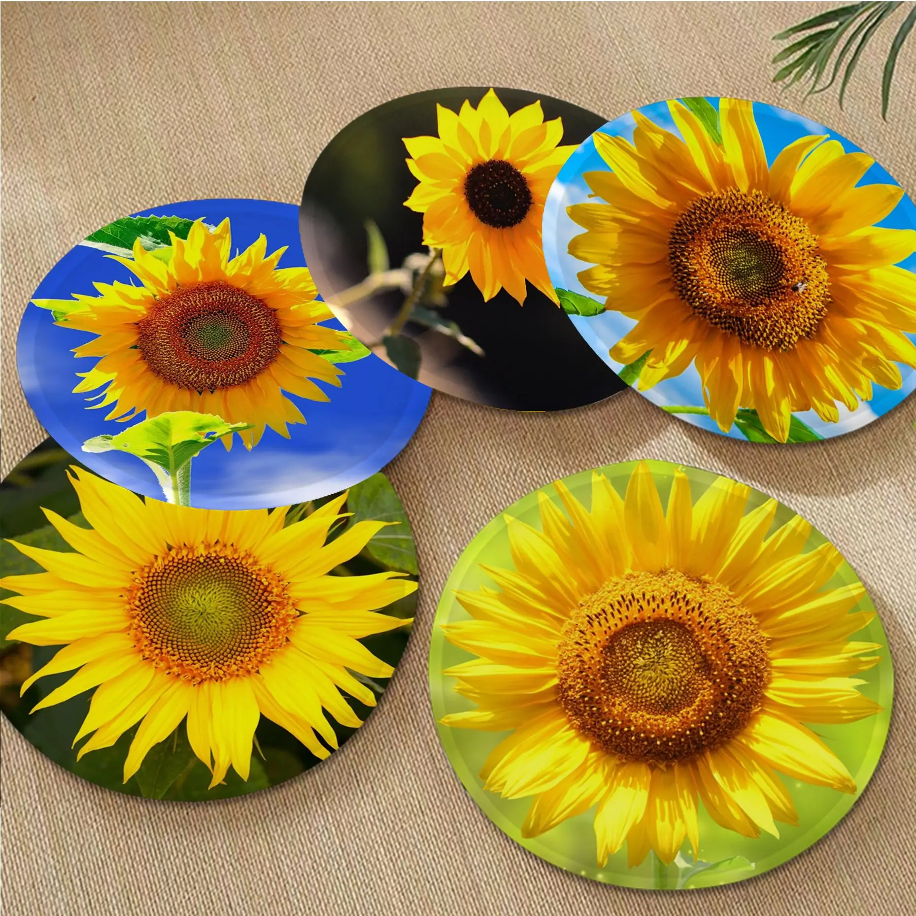 Sunflower Modern Minimalist Style Stool Pad Patio Home Kitchen Office Chair Seat Cushion Pads Sofa Seat 40x40cm Cushion Pads
Sunflower Modern Minimalist Style Stool Pad Patio Home Kitchen Office Chair Seat Cushion Pads Sofa Seat 40x40cm Cushion Pads