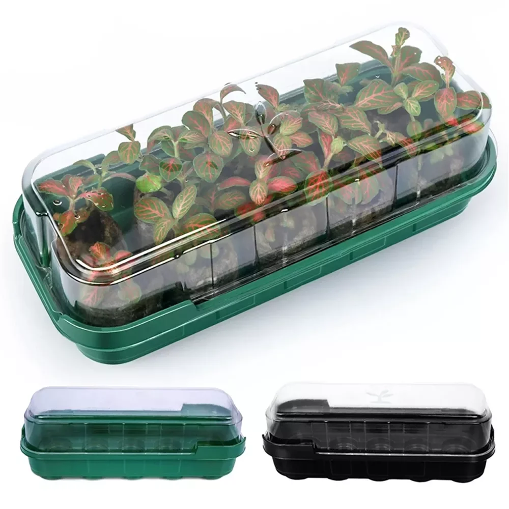 NEW2022 10 Holes Plant Seeds Grow Box With Transparent Cover Reusable Seed Planting Greenhouse Box Seedling Nursery Pot Garden S
NEW2022 10 Holes Plant Seeds Grow Box With Transparent Cover Reusable Seed Planting Greenhouse Box Seedling Nursery Pot Garden S