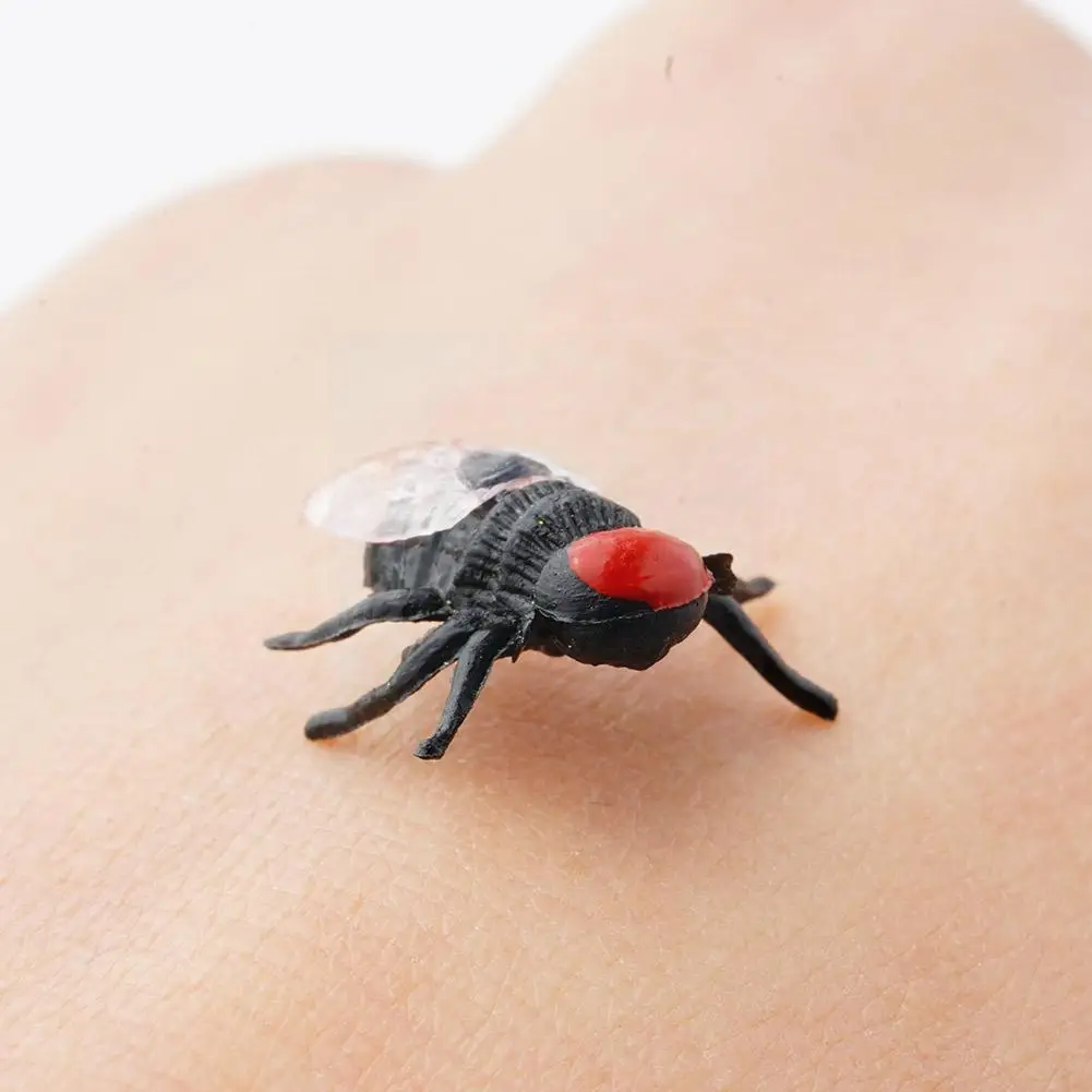 Special Lifelike Model Plastic Simulation Fake Insect Insect Toy Novelty Joke Prank Trick New Funny Tricky Trick Toys Flies C5y9
Special Lifelike Model Plastic Simulation Fake Insect Insect Toy Novelty Joke Prank Trick New Funny Tricky Trick Toys Flies C5y9
