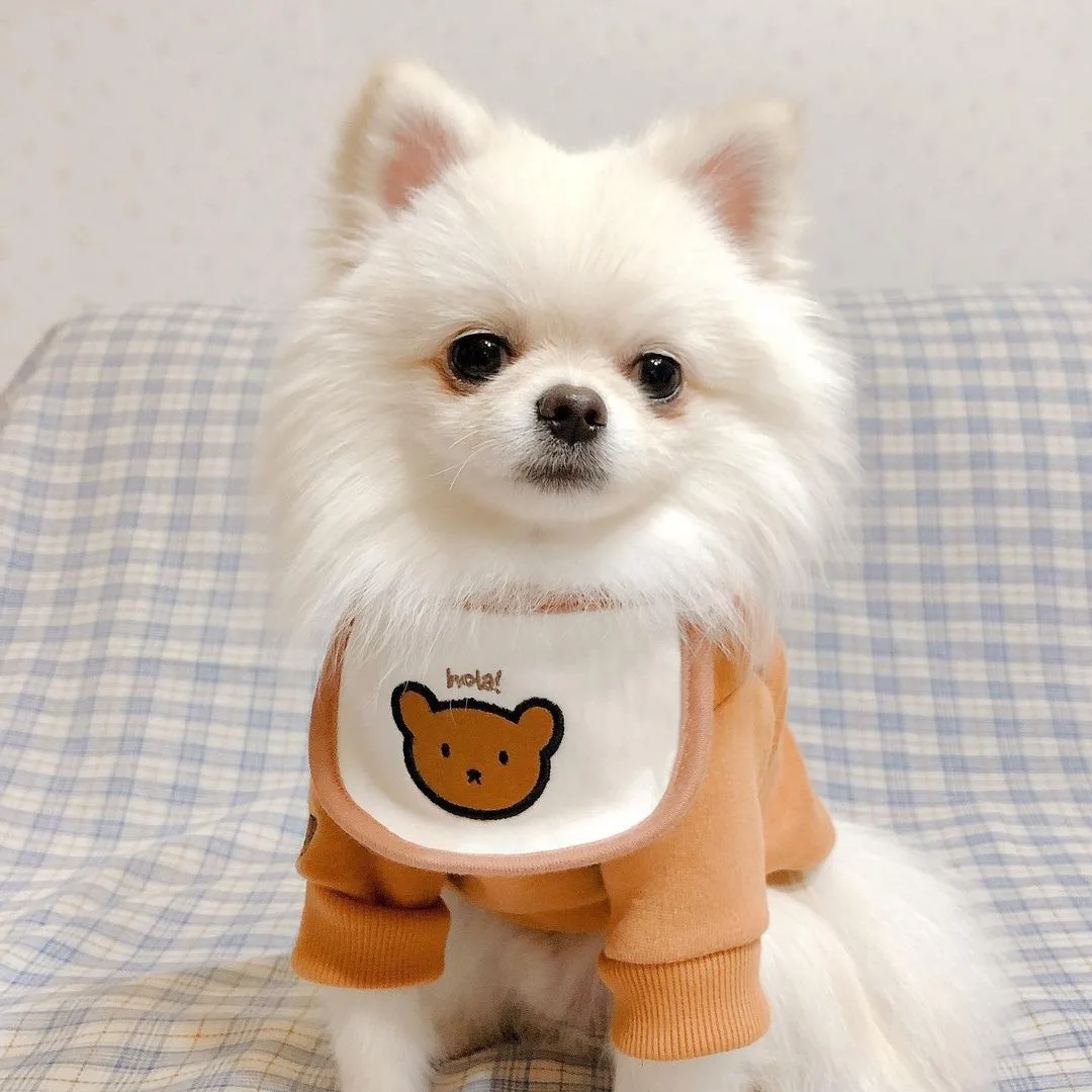 Dog Bandana Small Dogs Puppy Bibs Scarf Pet Washable Cotton Kawaii Cute Dog Bow Ties Accessories Bichon Chihuahua Teddy Shih Tzu
Dog Bandana Small Dogs Puppy Bibs Scarf Pet Washable Cotton Kawaii Cute Dog Bow Ties Accessories Bichon Chihuahua Teddy Shih Tzu